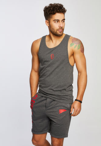 LN-8284 Anthrazit-Rot L